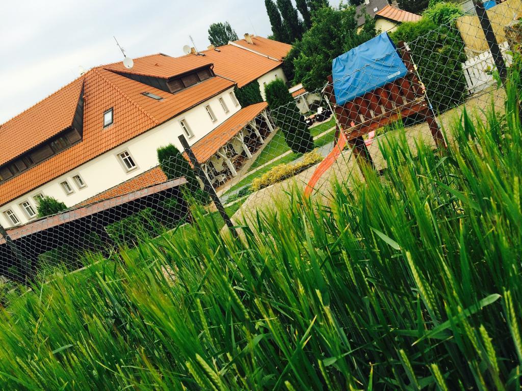 Penzion V Polich Malé Číčovice エクステリア 写真